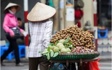 越南帽子文化